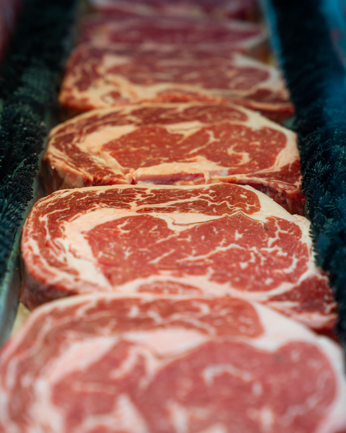 Thick, marbled ribeye steaks lined up in the butcher case